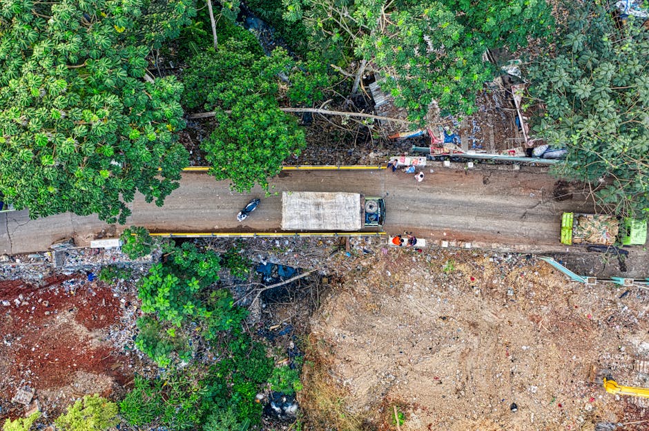 Bird's Eye View Of Unpaved Road between Trees